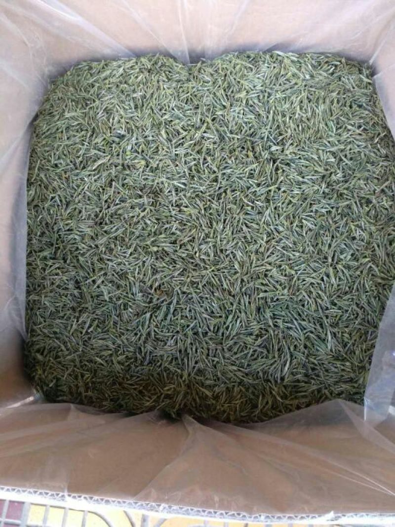 绿茶