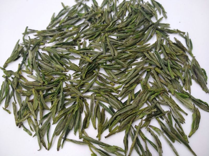 绿茶