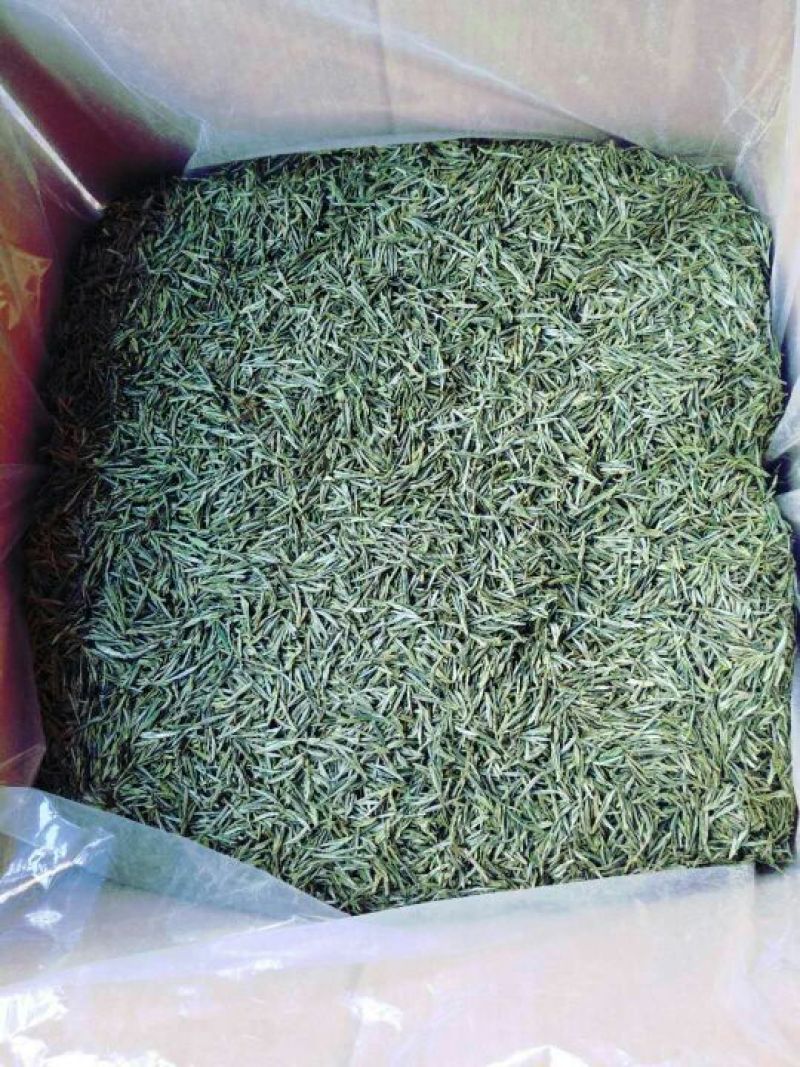 绿茶
