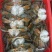 锯缘青蟹食用雄蟹