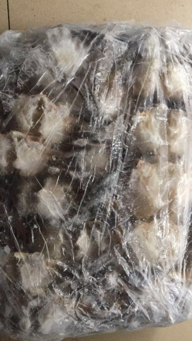 锯缘青蟹食用雌蟹