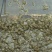 甲鱼苗，产地孵化，基地直供，提供养殖技术。
