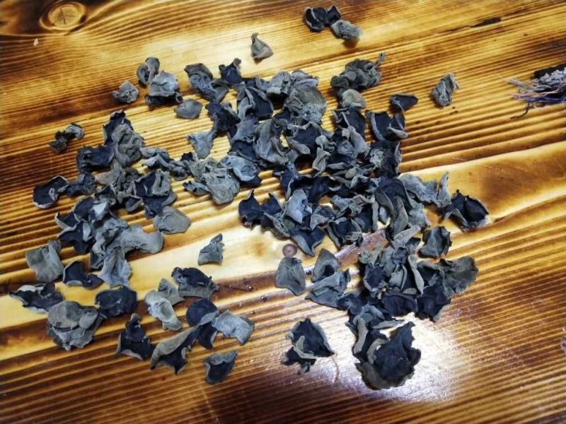黑木耳特级