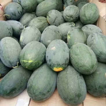 麒麟西瓜