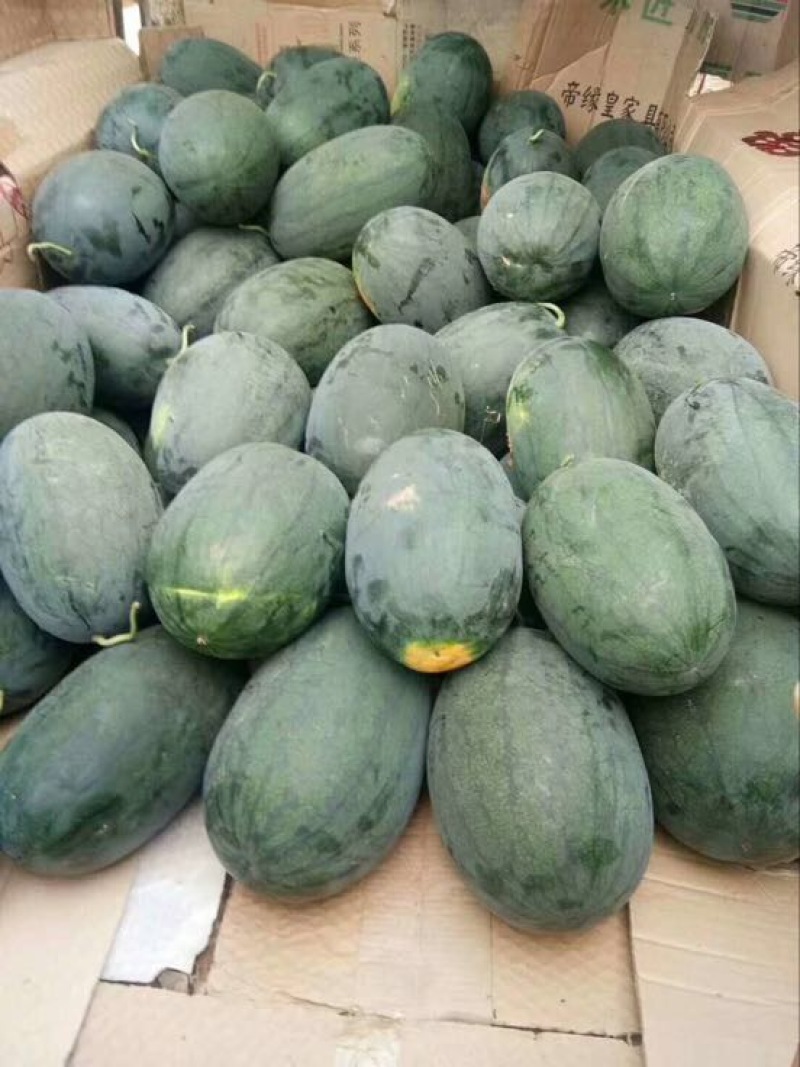 麒麟西瓜