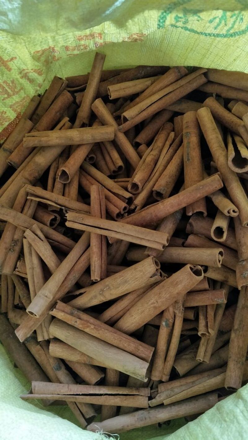烟仔桂