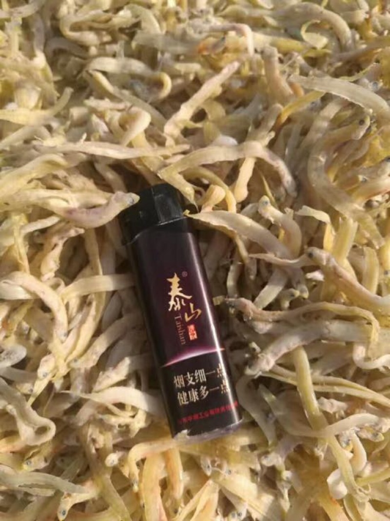 凤尾鱼