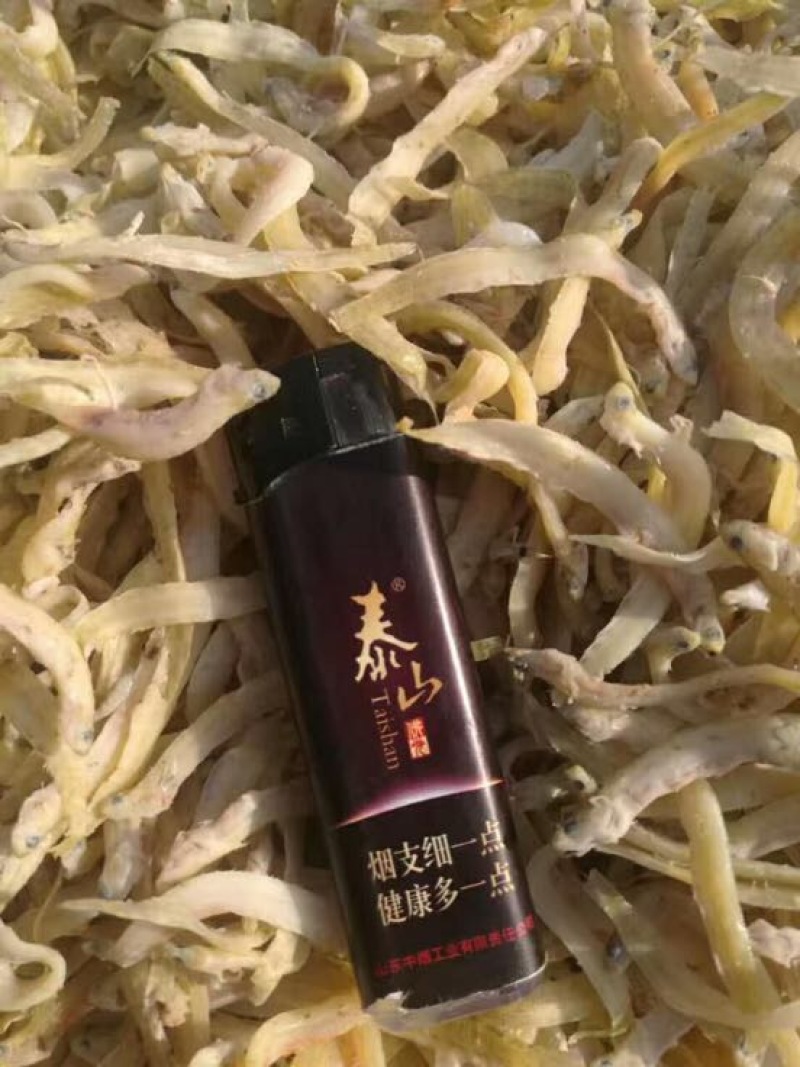 凤尾鱼