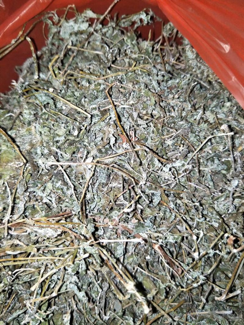 野生藤茶