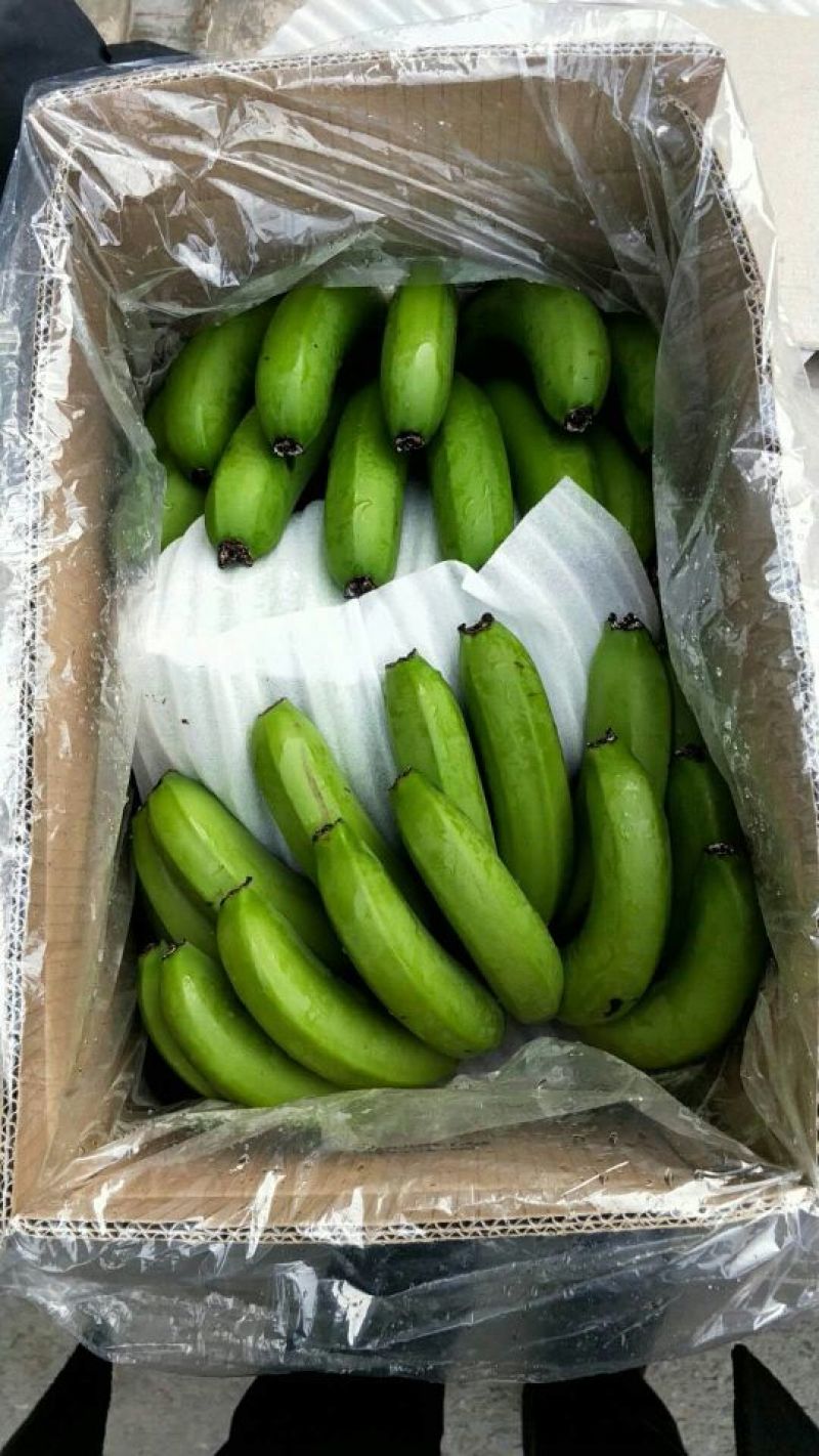 香蕉大量现货，青二黄大黄四季有货，