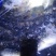 池鲤鱼1~2公斤