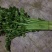 香芹