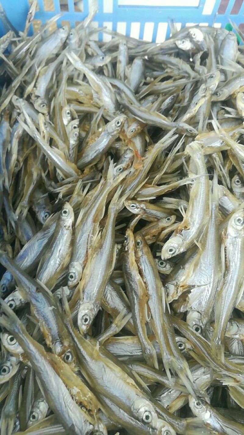 餐条鱼干日晒鱼干