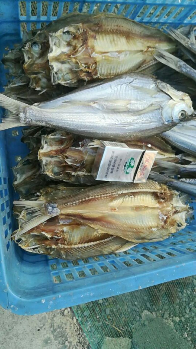 餐条鱼干日晒鱼干
