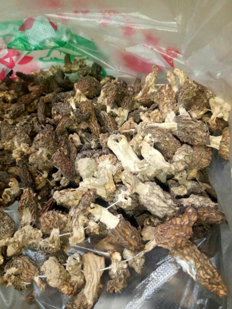 羊肚菌中上通货