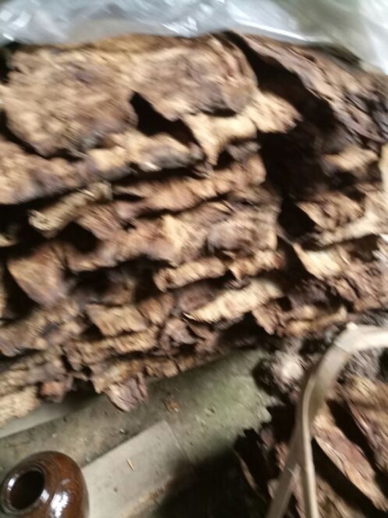 笋干