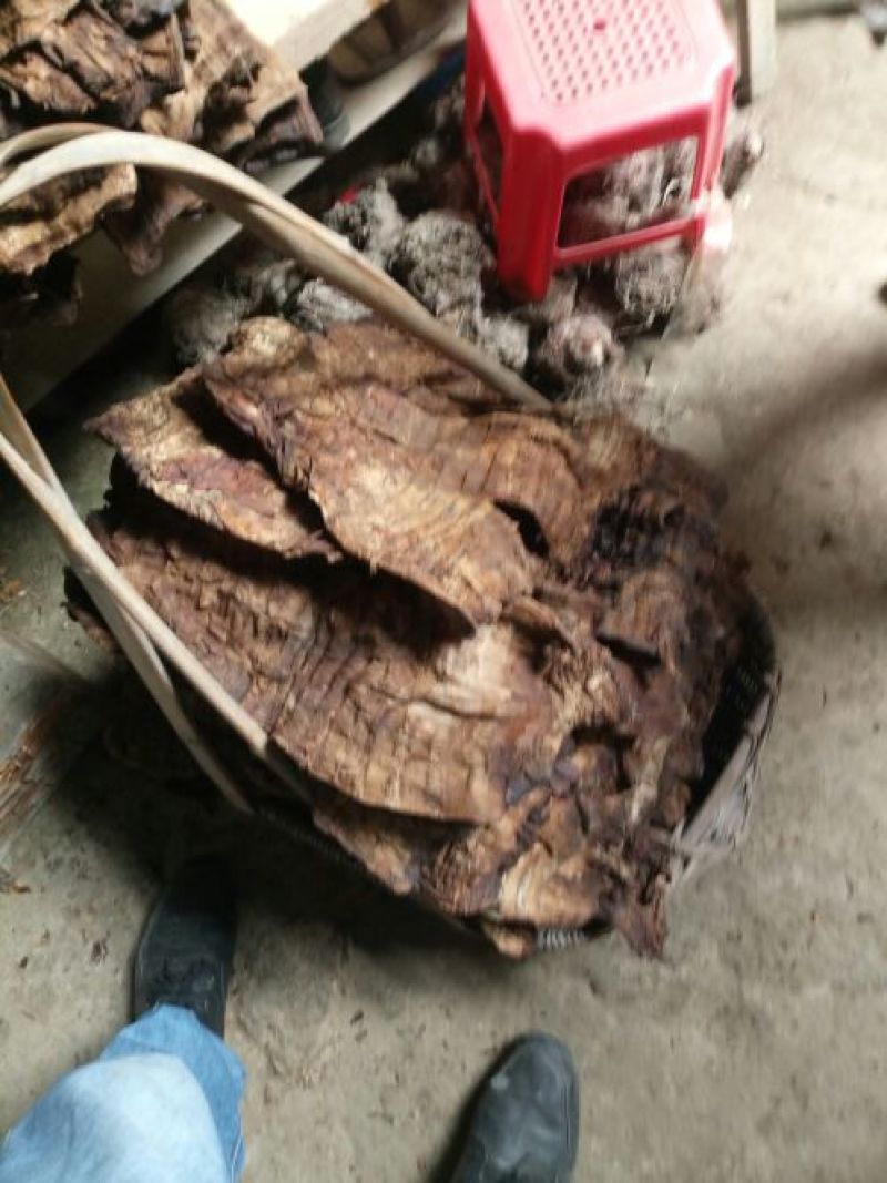 笋干