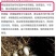 鳄鱼蛋