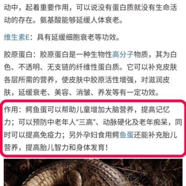 鳄鱼蛋