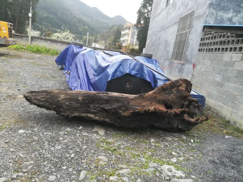 金丝楠乌木家具