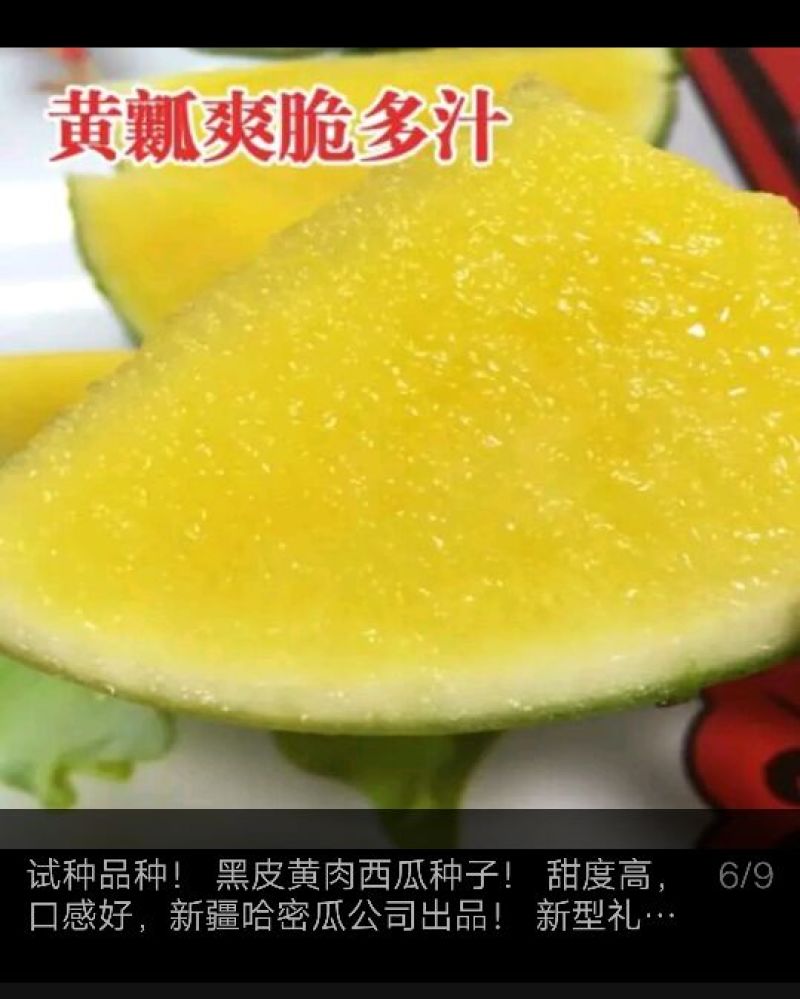 黄瓤西瓜种子