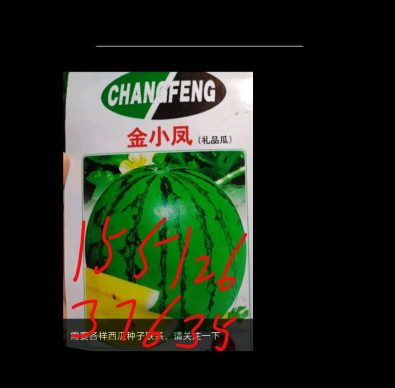 黄瓤西瓜种子
