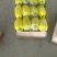 博洋9号甜瓜统货0.5斤以上