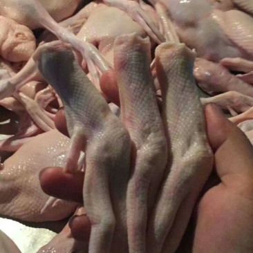 鸭掌出售