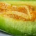 绿宝甜瓜0.5斤以上