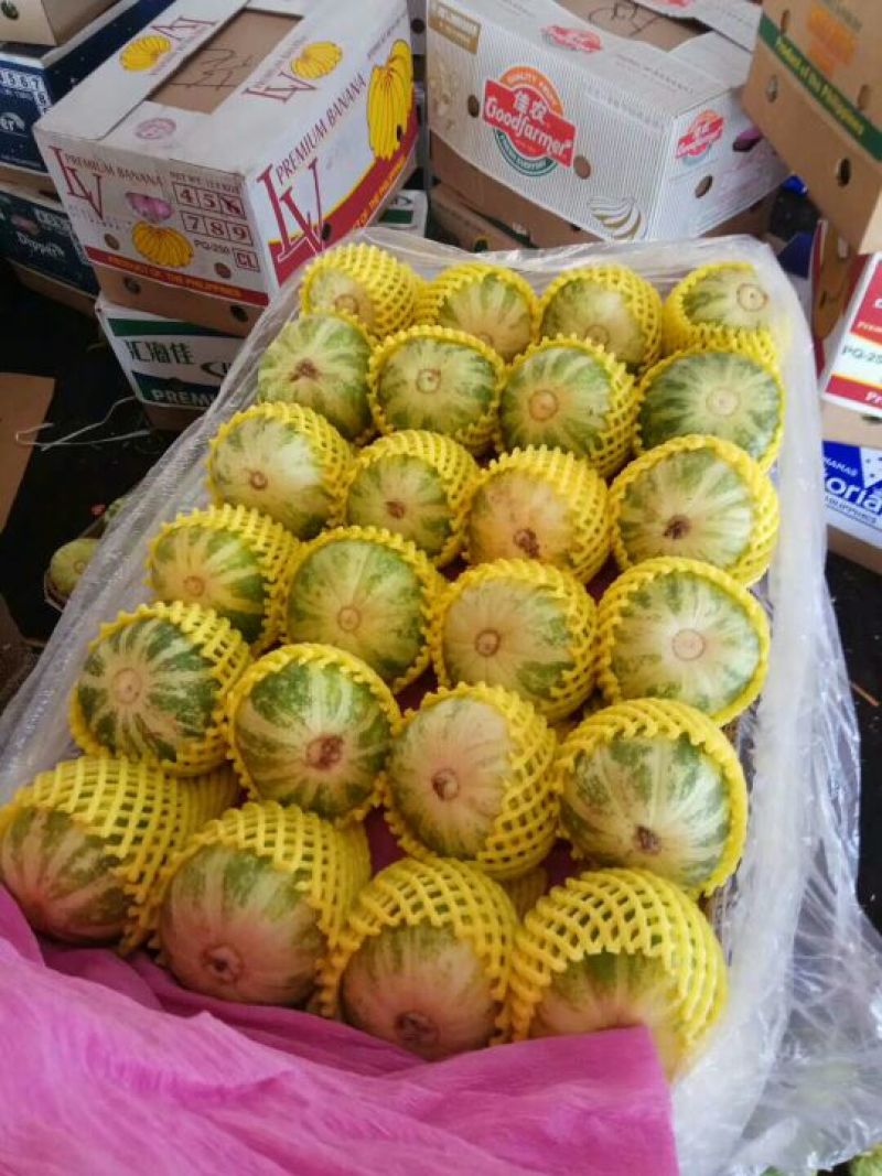 花蕾1号甜瓜统货0.3斤以上
