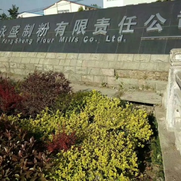 小麦粉袋装