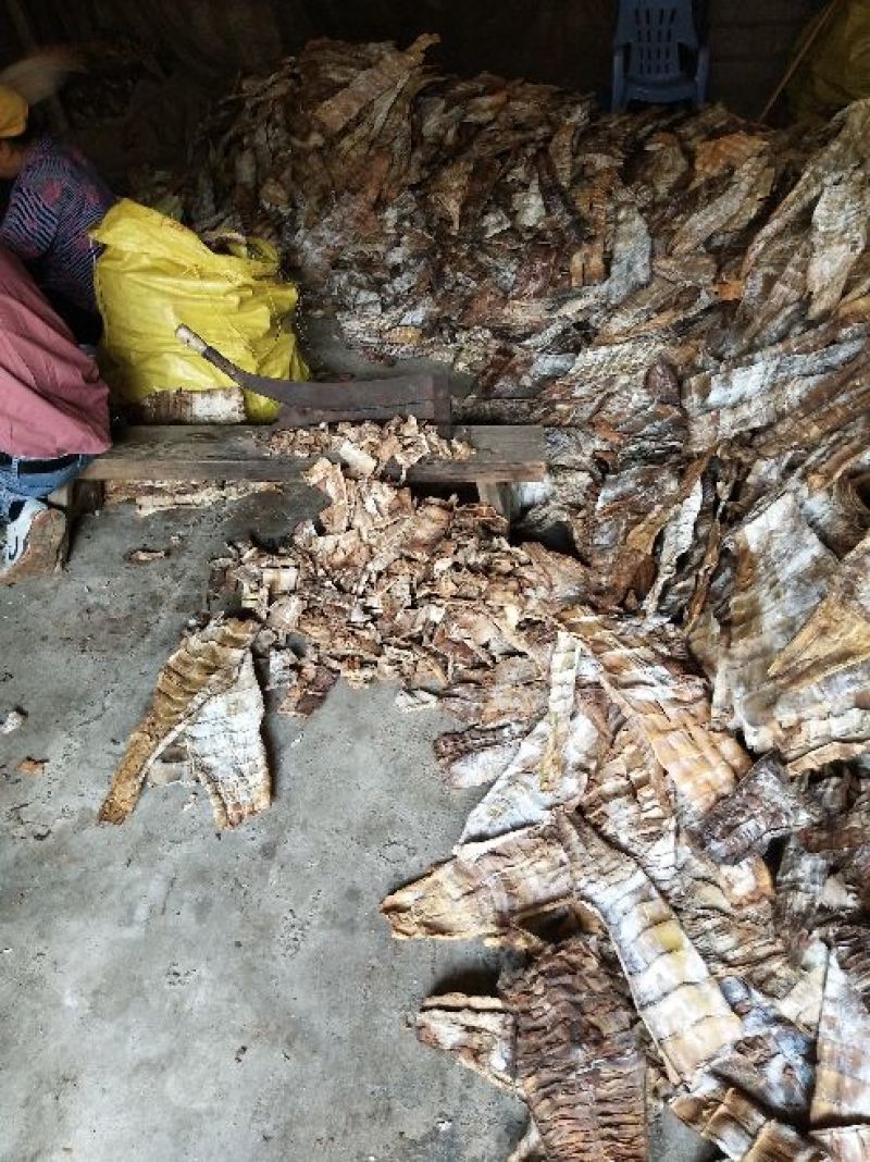 水煮笋干淡笋干