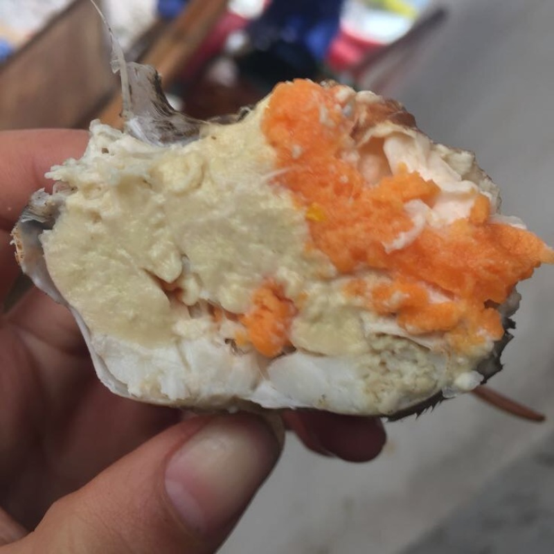 三门青蟹食用公母