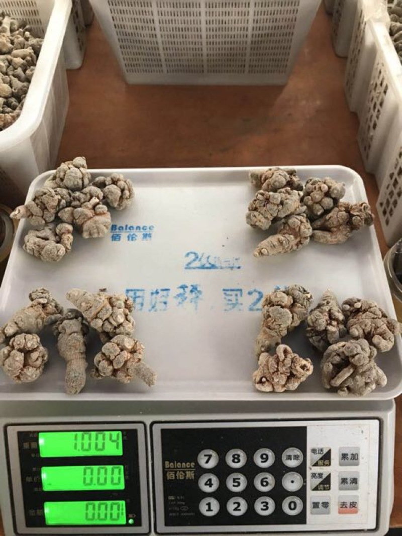 三七文山三七精选足头三七滑头带帽三七可打粉