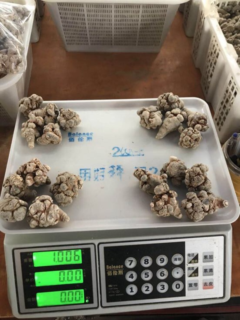 三七文山三七精选足头三七滑头带帽三七可打粉