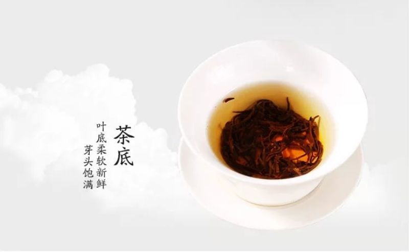 祁门红茶祁门功夫二级正宗原产地口粮茶戴着皇冠的女王