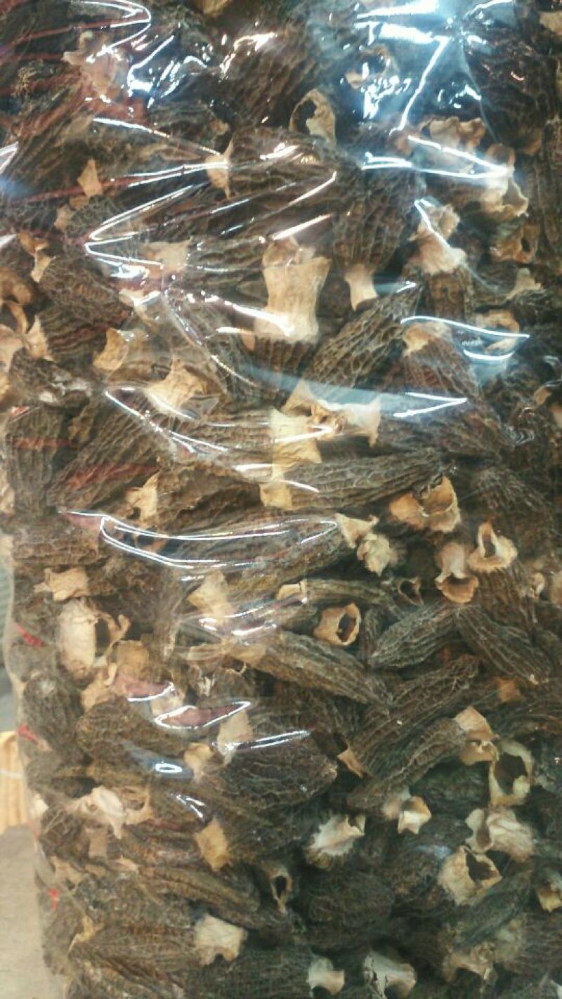 羊肚菌中上通货