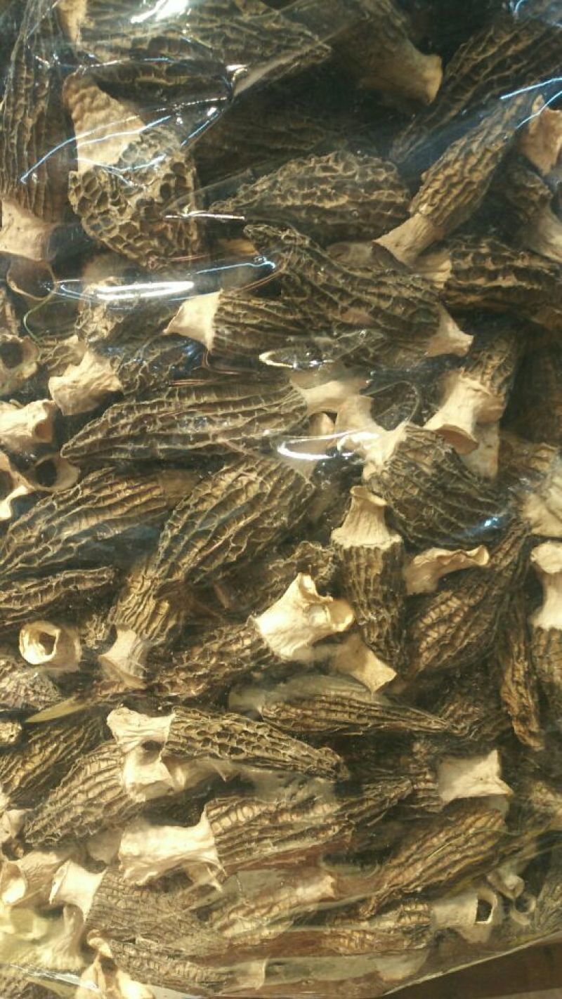 羊肚菌中上通货