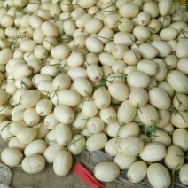 东方蜜