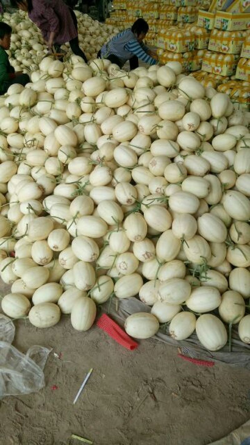 东方蜜