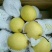 雪花梨一级大果果形饱满甘甜爽脆【冷库/鲜货】
