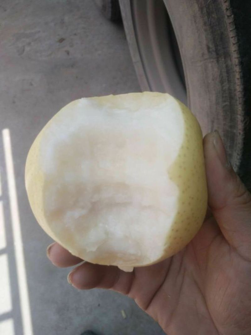 皇冠梨框装箱装一级二级型号全