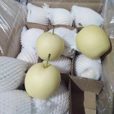 皇冠梨框装箱装一级二级型号全