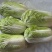 大白菜净菜3~5斤