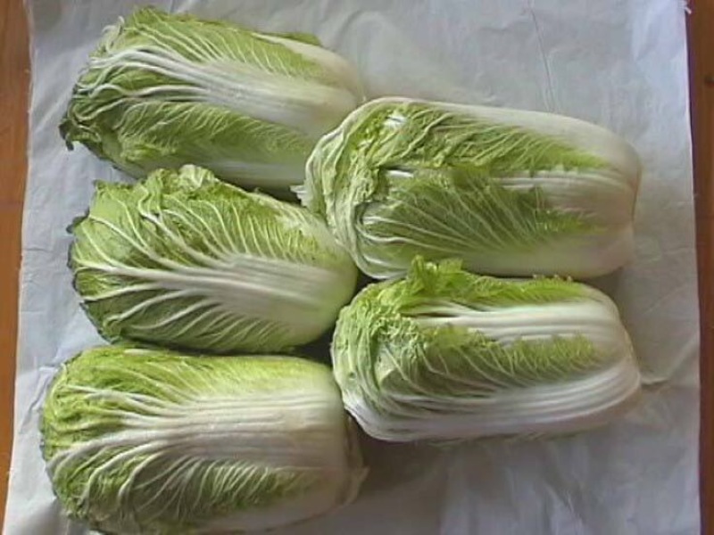 大白菜净菜3~5斤