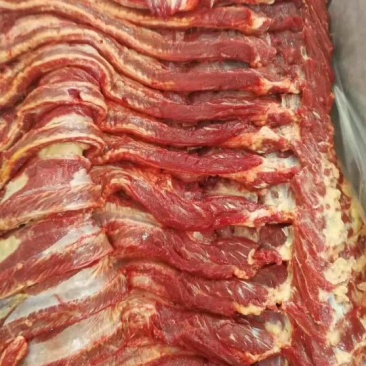 马肉冷冻