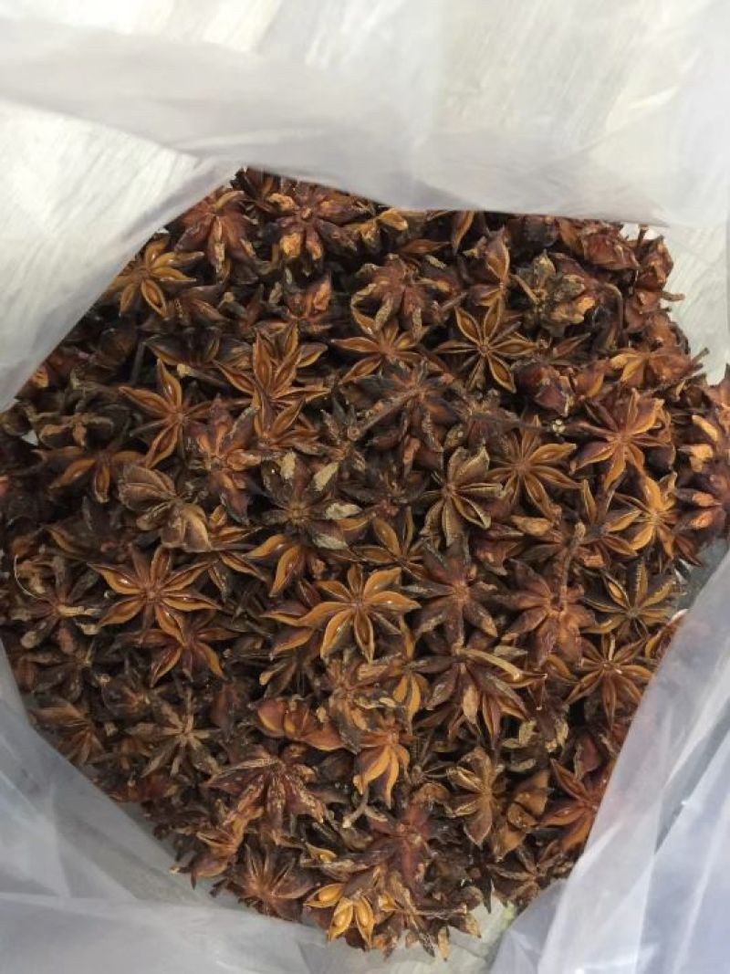 广西大红八角一级货烫水果
