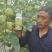 伊莱沃含氨基酸水溶肥500kg*20瓶