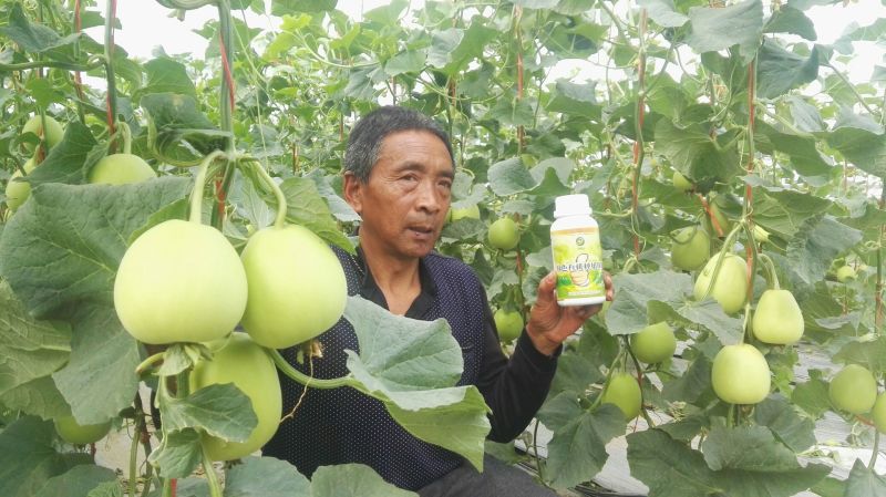 伊莱沃含氨基酸水溶肥500kg*20瓶