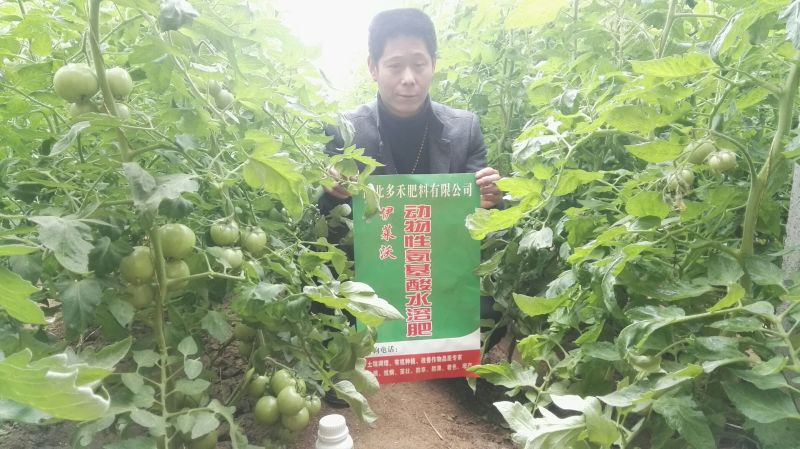 伊莱沃含氨基酸水溶肥500kg*20瓶